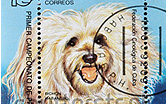 havanezer postzegel